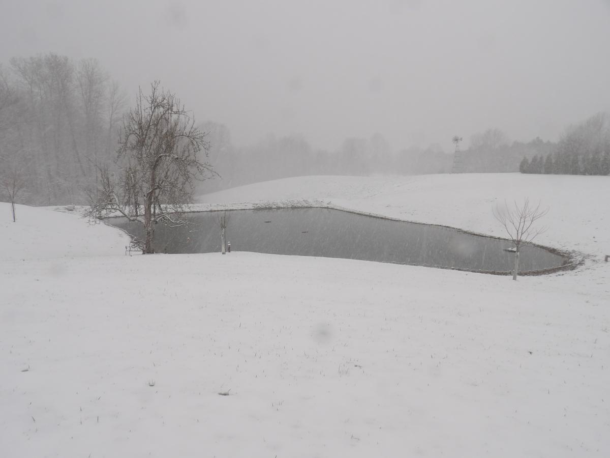 Click image for larger version

Name:	2026Marchsnow1.jpg
Views:	33
Size:	54.6 KB
ID:	257