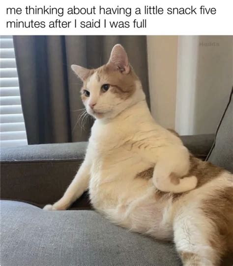 Click image for larger version

Name:	cat1.jpg
Views:	43
Size:	53.6 KB
ID:	490