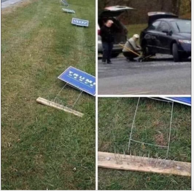 Click image for larger version

Name:	1 trump signs.png
Views:	74
Size:	561.6 KB
ID:	621