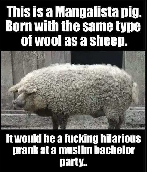 Click image for larger version

Name:	2 muslim bachelor party.png
Views:	54
Size:	335.0 KB
ID:	663