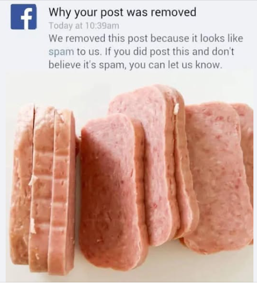 Click image for larger version

Name:	Screenshot 2026-03-29 10.17.31 AM.png
Views:	114
Size:	293.7 KB
ID:	937