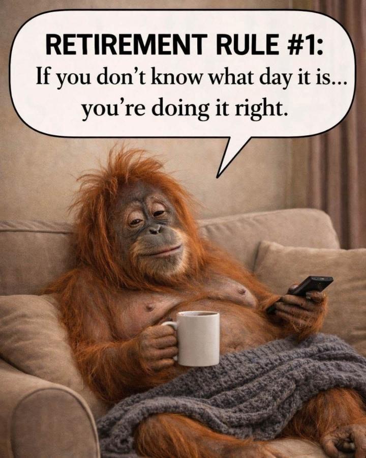 Click image for larger version

Name:	663368601_26804534212485288_8110017736420190146_n.jpg
Views:	42
Size:	89.9 KB
ID:	1141