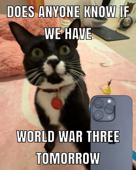 Click image for larger version

Name:	CAT4.jpg
Views:	55
Size:	95.3 KB
ID:	1227