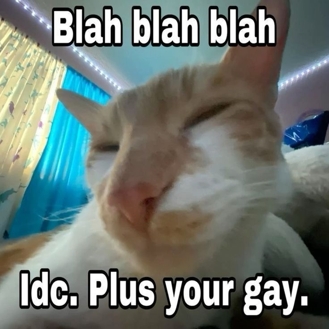 Click image for larger version

Name:	CAT5.png
Views:	51
Size:	518.1 KB
ID:	1229