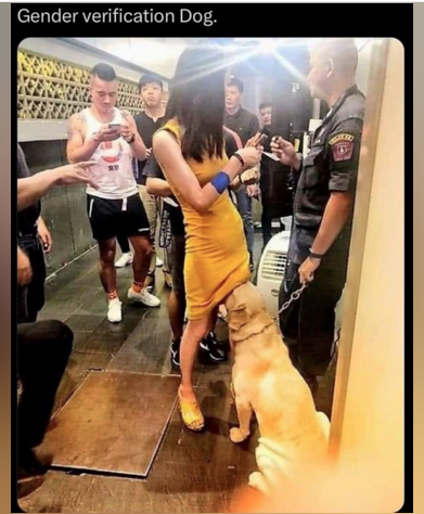 Click image for larger version

Name:	1 new police dog.png
Views:	24
Size:	312.4 KB
ID:	1249
