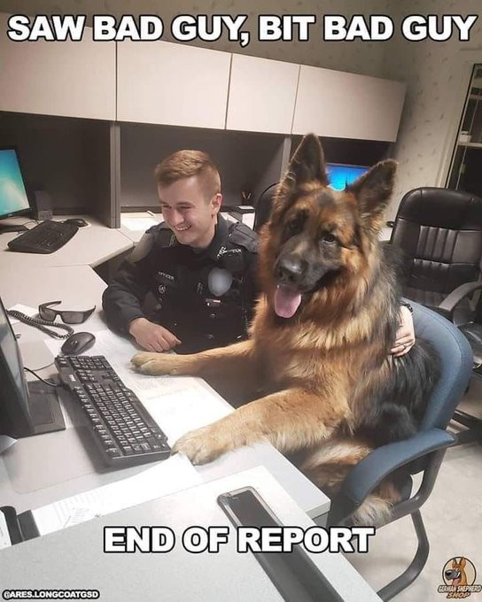 Click image for larger version

Name:	DOG3.jpg
Views:	33
Size:	98.6 KB
ID:	1262