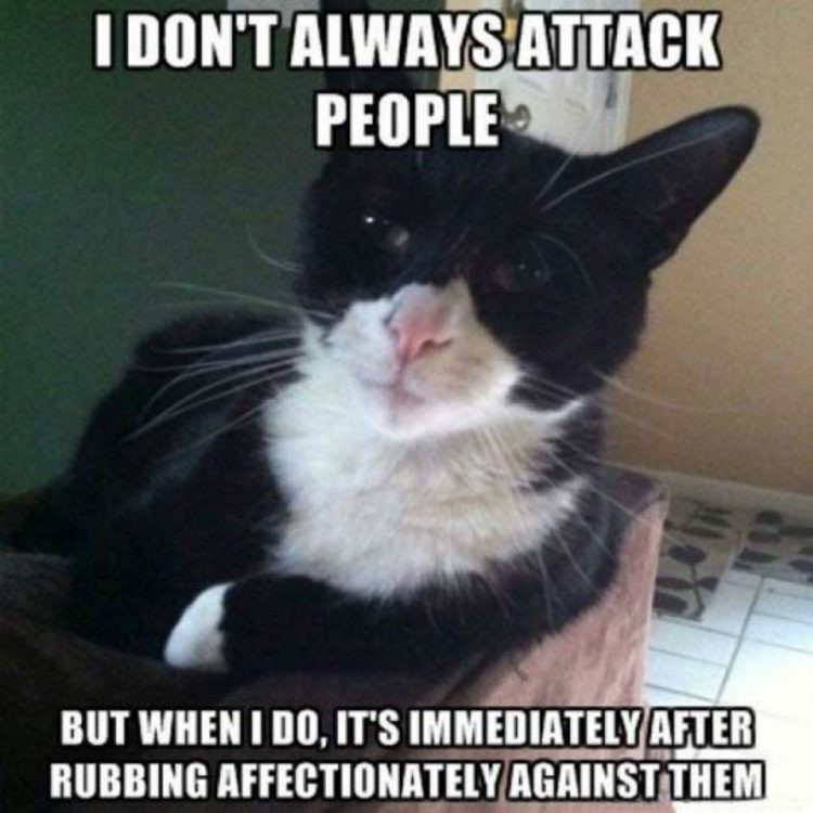 Click image for larger version

Name:	CAT9.jpg
Views:	27
Size:	105.1 KB
ID:	1575