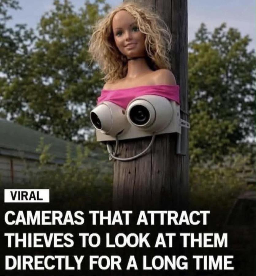 Click image for larger version

Name:	678631468_10163931147522347_3559466521236014395_n.jpg
Views:	28
Size:	85.1 KB
ID:	1747