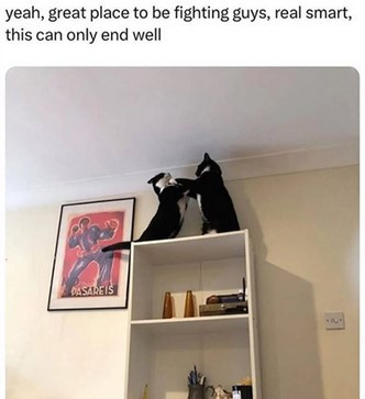 Click image for larger version

Name:	CAT10.jpg
Views:	19
Size:	27.0 KB
ID:	1848