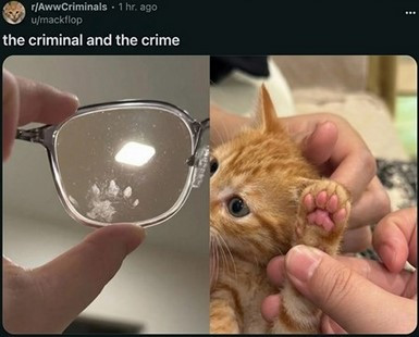 Click image for larger version

Name:	CAT12.jpg
Views:	14
Size:	33.9 KB
ID:	1869