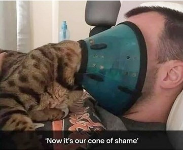 Click image for larger version

Name:	CAT13.jpg
Views:	9
Size:	30.4 KB
ID:	1901