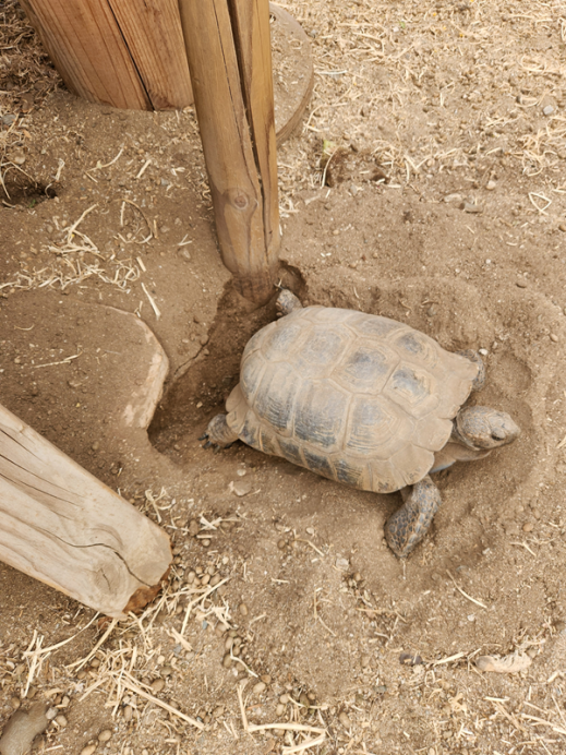 Click image for larger version  Name:	Digging again.png Views:	0 Size:	815.0 KB ID:	2902