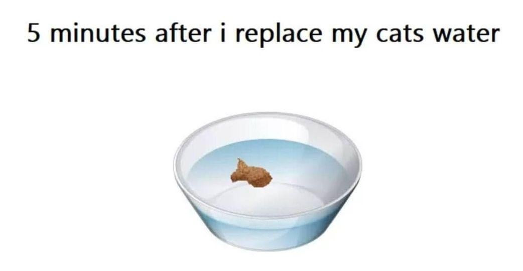 Click image for larger version

Name:	CAT1.jpg
Views:	11
Size:	41.5 KB
ID:	2915