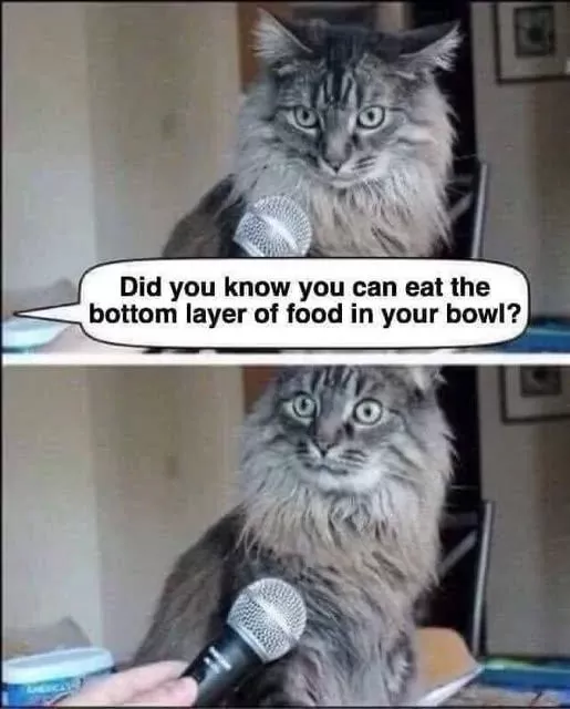 Click image for larger version

Name:	CAT2.webp
Views:	5
Size:	28.1 KB
ID:	2932