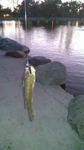 Click image for larger version

Name:	Catfish.png
Views:	9
Size:	255.3 KB
ID:	3301