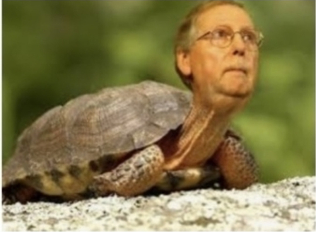 Click image for larger version

Name:	Mitch.jpg
Views:	22
Size:	121.4 KB
ID:	3825