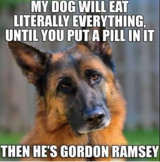 Click image for larger version

Name:	DOG1.jpg
Views:	2
Size:	76.2 KB
ID:	4343
