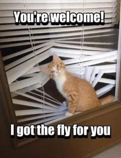 Click image for larger version

Name:	CAT3.jpg
Views:	14
Size:	61.2 KB
ID:	4405