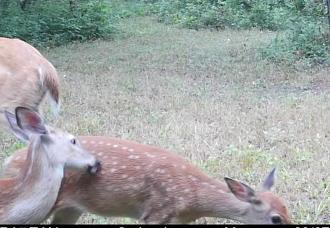 Click image for larger version

Name:	Screenshot_20260807_080545_Spartan Camera.jpg
Views:	56
Size:	188.8 KB
ID:	4583