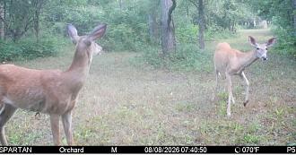 Click image for larger version  Name:	Screenshot_20260808_084130_Spartan Camera.jpg Views:	0 Size:	192.2 KB ID:	4615