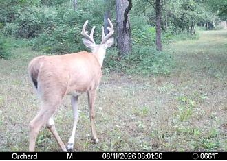Click image for larger version

Name:	Screenshot_20260811_082650_Spartan Camera.jpg
Views:	41
Size:	162.4 KB
ID:	4712