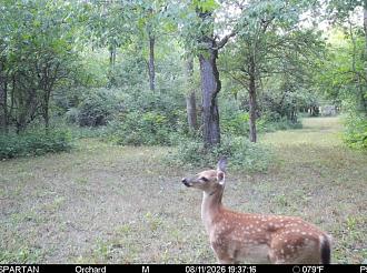 Click image for larger version  Name:	Screenshot_20260811_201931_Spartan Camera.jpg Views:	0 Size:	328.5 KB ID:	4729