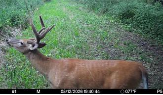 Click image for larger version  Name:	Screenshot_20260812_212105_Spartan Camera.jpg Views:	0 Size:	198.4 KB ID:	4783
