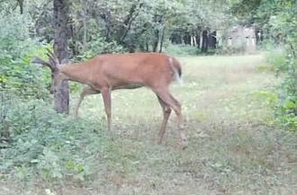 Click image for larger version

Name:	Screenshot_20260813_191009_Spartan Camera.jpg
Views:	41
Size:	123.4 KB
ID:	4912