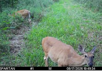 Click image for larger version  Name:	Screenshot_20260818_082112_Spartan Camera.jpg Views:	0 Size:	263.1 KB ID:	4914