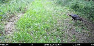 Click image for larger version

Name:	Screenshot_20260818_203956_Spartan Camera.jpg
Views:	37
Size:	248.6 KB
ID:	4940
