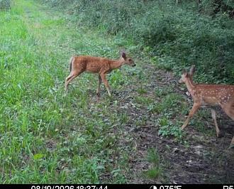 Click image for larger version

Name:	Screenshot_20260819_201058_Spartan Camera.jpg
Views:	30
Size:	152.8 KB
ID:	4976