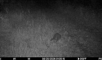Click image for larger version

Name:	Screenshot_20260820_080334_Spartan Camera.jpg
Views:	30
Size:	150.0 KB
ID:	4978