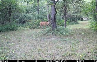 Click image for larger version

Name:	Screenshot_20260821_221941_Spartan Camera.jpg
Views:	24
Size:	289.7 KB
ID:	5015