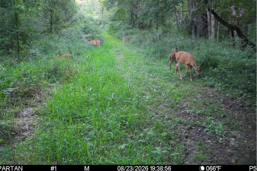 Click image for larger version

Name:	Screenshot_20260823_205506_Spartan Camera.jpg
Views:	35
Size:	311.3 KB
ID:	5122