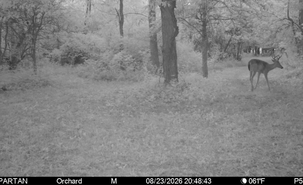 Click image for larger version

Name:	Screenshot_20260823_210123_Spartan Camera.jpg
Views:	35
Size:	164.5 KB
ID:	5124