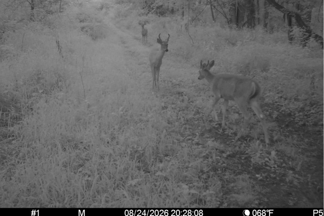 Click image for larger version

Name:	Screenshot_20260824_211741_Spartan Camera.jpg
Views:	27
Size:	159.1 KB
ID:	5143