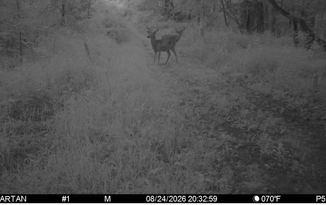 Click image for larger version

Name:	Screenshot_20260824_211918_Spartan Camera.jpg
Views:	25
Size:	137.7 KB
ID:	5145