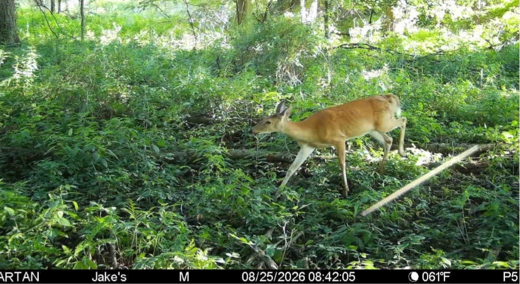 Click image for larger version

Name:	Screenshot_20260825_084702_Spartan Camera.jpg
Views:	22
Size:	290.4 KB
ID:	5155