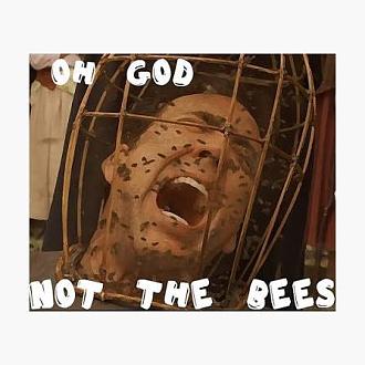 Click image for larger version

Name:	The Bees.jpg
Views:	13
Size:	45.5 KB
ID:	5166