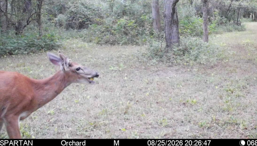 Click image for larger version  Name:	Screenshot_20260825_215122_Spartan Camera.jpg Views:	0 Size:	212.7 KB ID:	5200