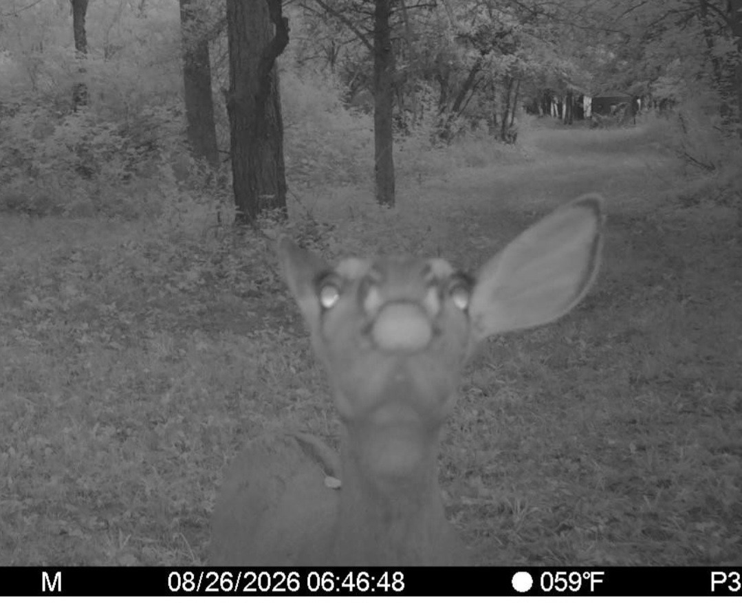 Click image for larger version

Name:	Screenshot_20260826_075228_Spartan Camera.jpg
Views:	15
Size:	172.7 KB
ID:	5209
