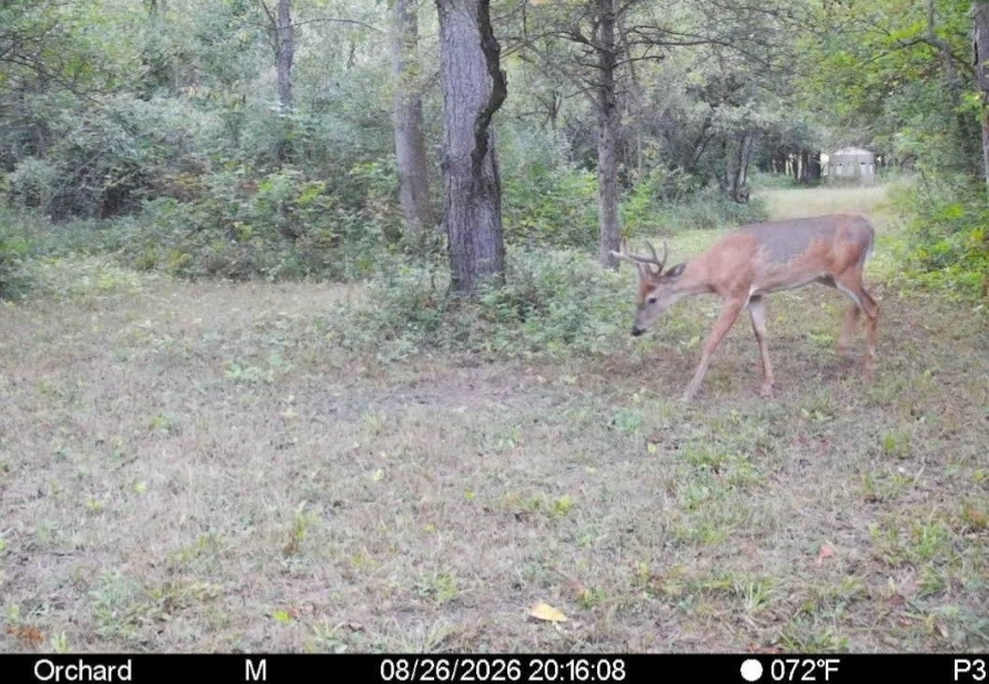 Click image for larger version  Name:	Screenshot_20260826_203322_Spartan Camera.jpg Views:	0 Size:	206.5 KB ID:	5243