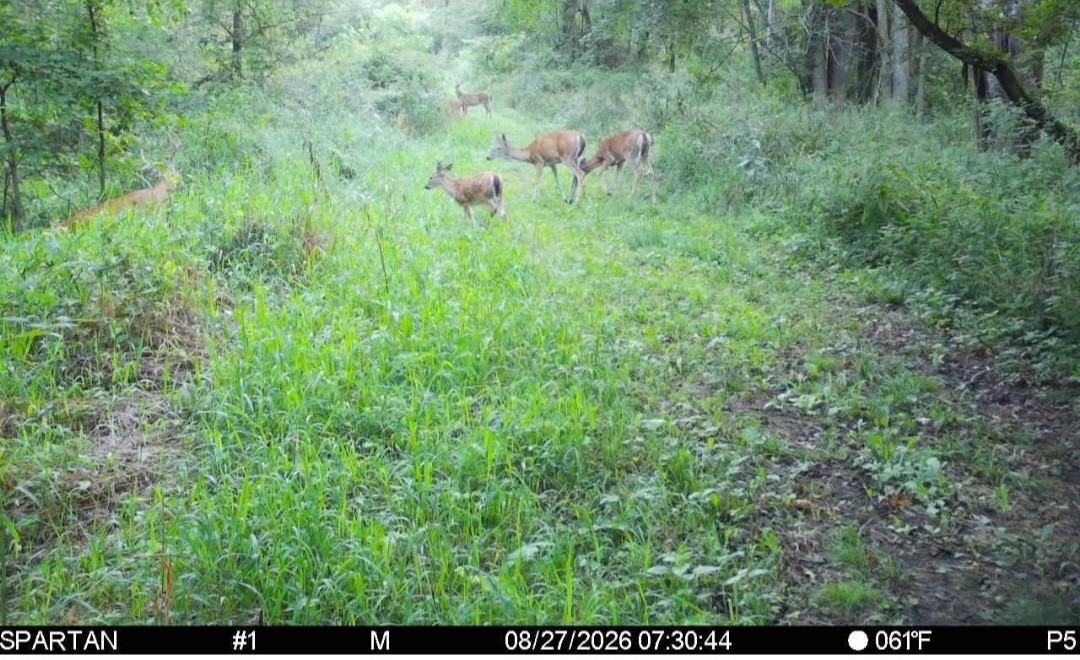 Click image for larger version

Name:	Screenshot_20260827_075338_Spartan Camera.jpg
Views:	9
Size:	309.4 KB
ID:	5256