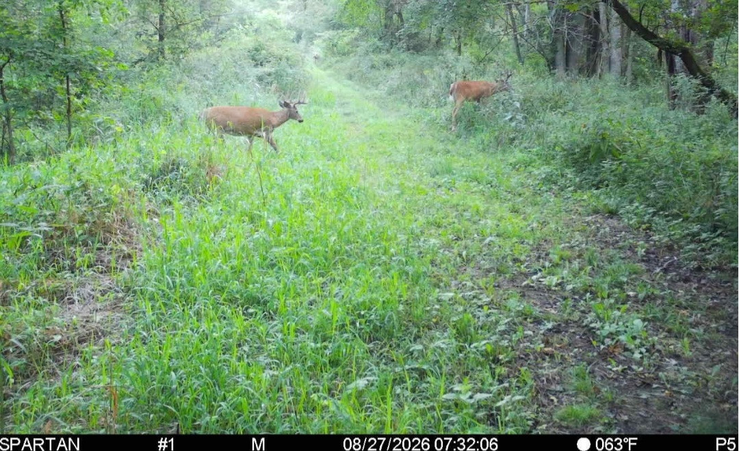 Click image for larger version

Name:	Screenshot_20260827_075439_Spartan Camera.jpg
Views:	22
Size:	326.7 KB
ID:	5258
