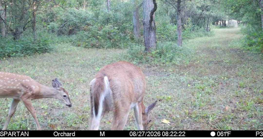 Click image for larger version

Name:	Screenshot_20260827_082408_Spartan Camera.jpg
Views:	53
Size:	248.7 KB
ID:	5260