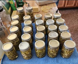 Click image for larger version

Name:	green beans 082626.jpg
Views:	147
Size:	105.4 KB
ID:	5263
