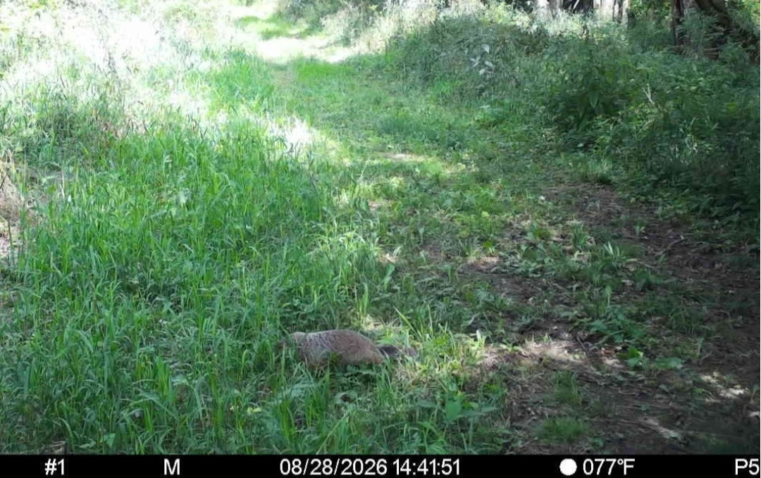 Click image for larger version

Name:	Screenshot_20260828_150400_Spartan Camera.jpg
Views:	50
Size:	274.5 KB
ID:	5355