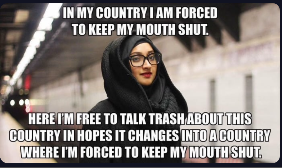 Click image for larger version

Name:	Screenshot 2026-08-28 6.54.13 PM.png
Views:	41
Size:	532.3 KB
ID:	5363