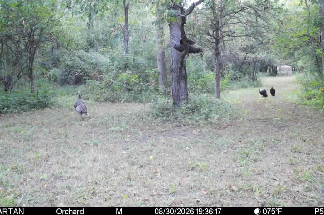 Click image for larger version

Name:	Screenshot_20260830_195838_Spartan Camera.jpg
Views:	37
Size:	268.2 KB
ID:	5420