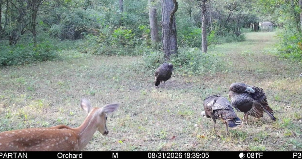 Click image for larger version

Name:	Screenshot_20260831_184547_Spartan Camera.jpg
Views:	32
Size:	228.9 KB
ID:	5445